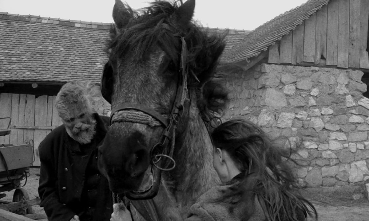 Bela Tarr: “Turin atı” filmi barəsində